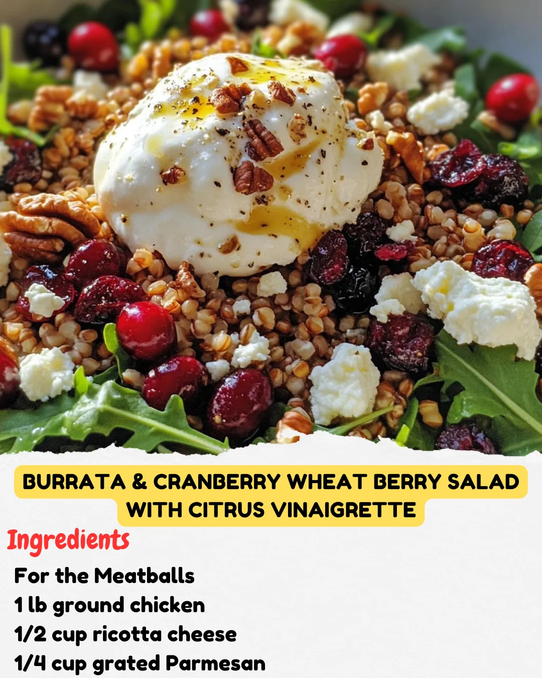 Burrata & Cranberry Wheat Berry Salad with Citrus Vinaigrette