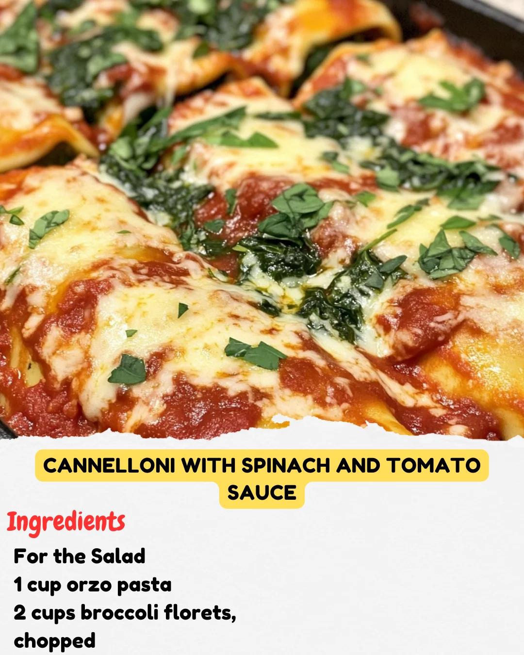 Cannelloni With Spinach and Tomato Sauce