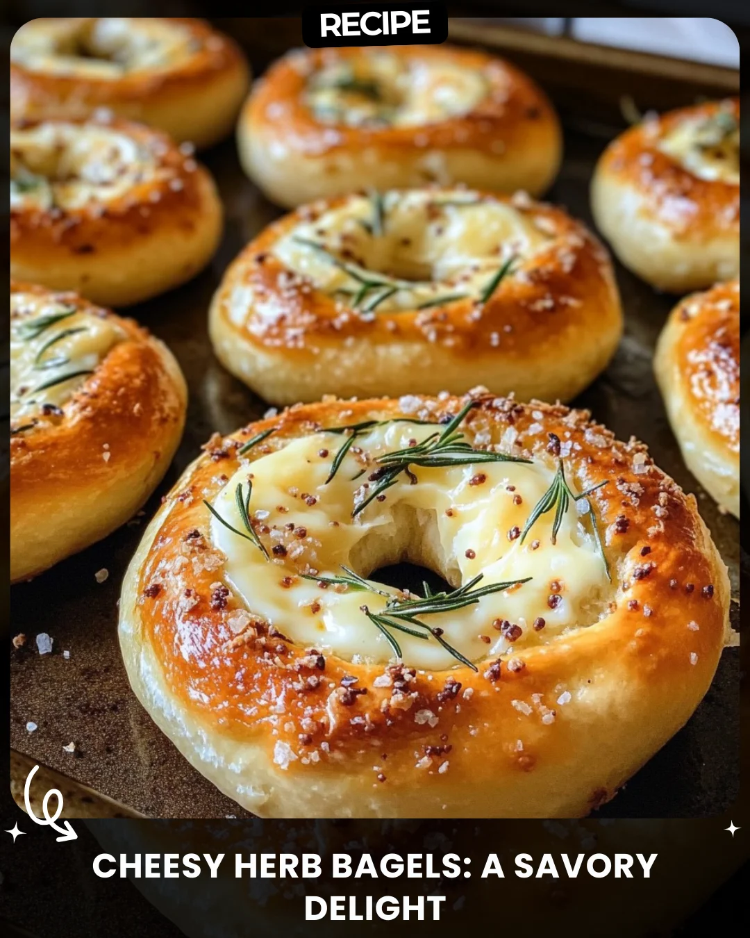 Cheesy Herb Bagels: A Savory Delight