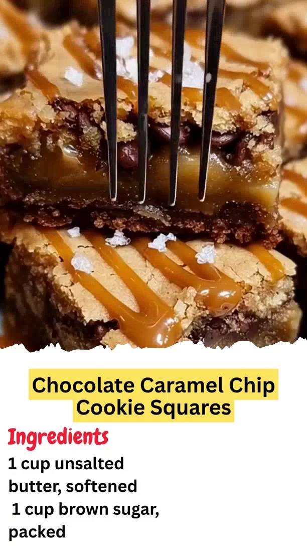 Chocolate Caramel Chip Cookie Squares