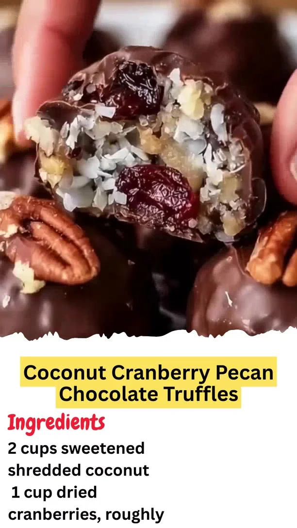 Coconut Cranberry Pecan Chocolate Truffles