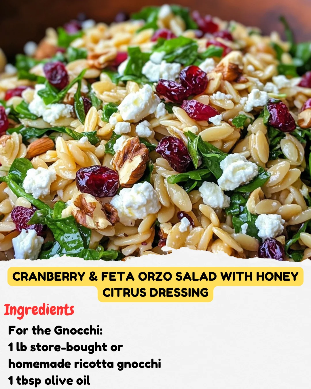 Cranberry & Feta Orzo Salad with Honey Citrus Dressing