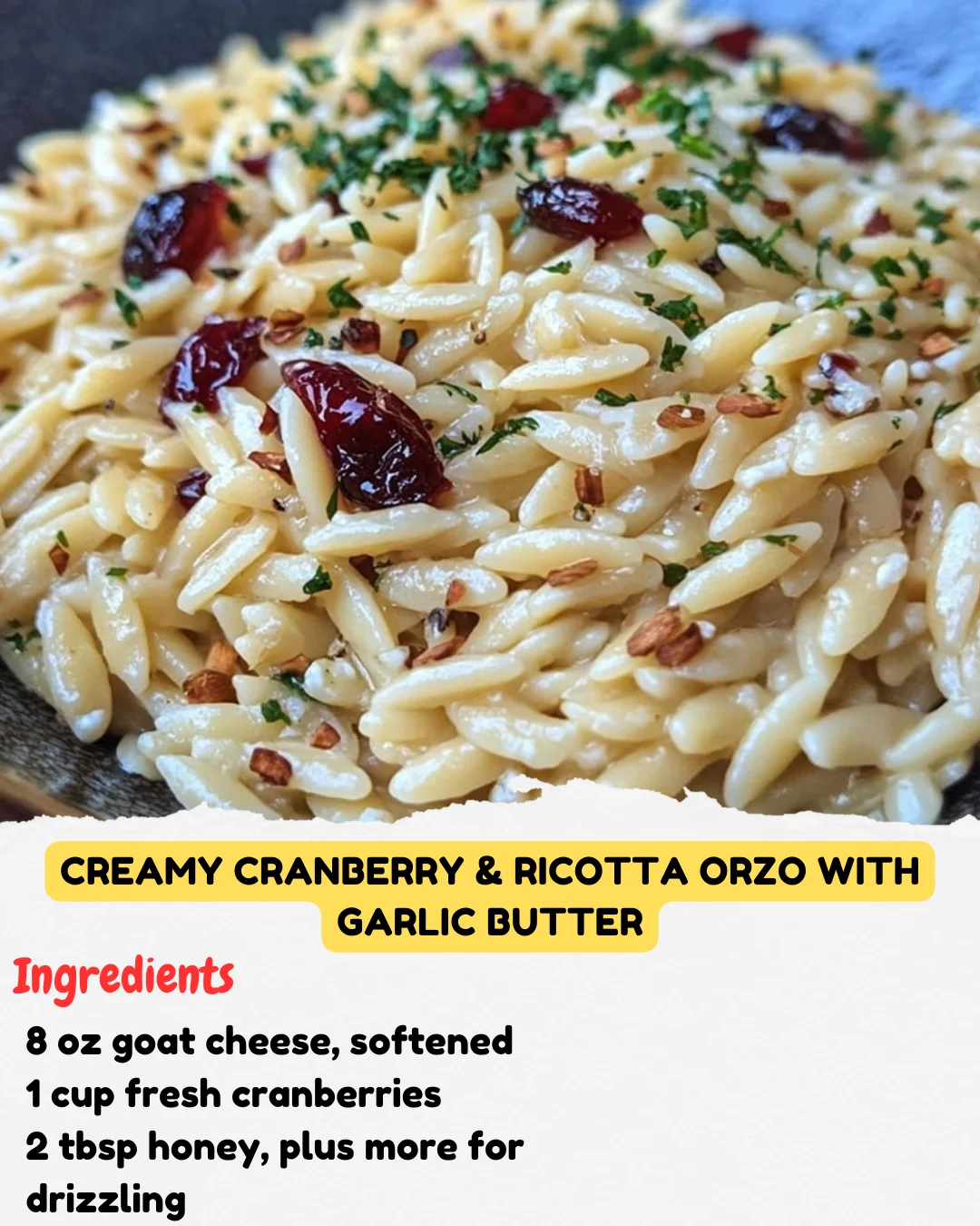 Creamy Cranberry & Ricotta Orzo with Garlic Butter