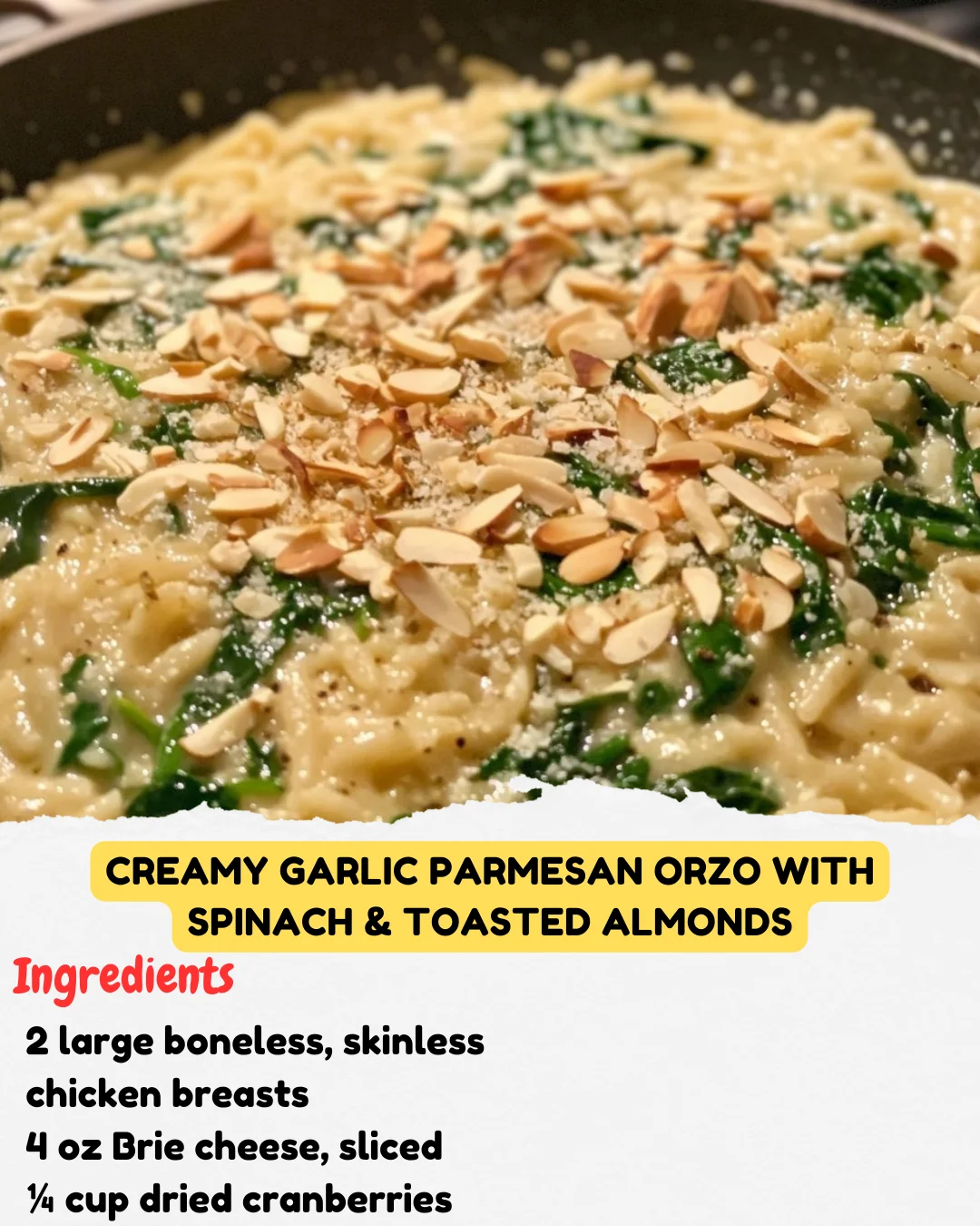 Creamy Garlic Parmesan Orzo with Spinach & Toasted Almonds