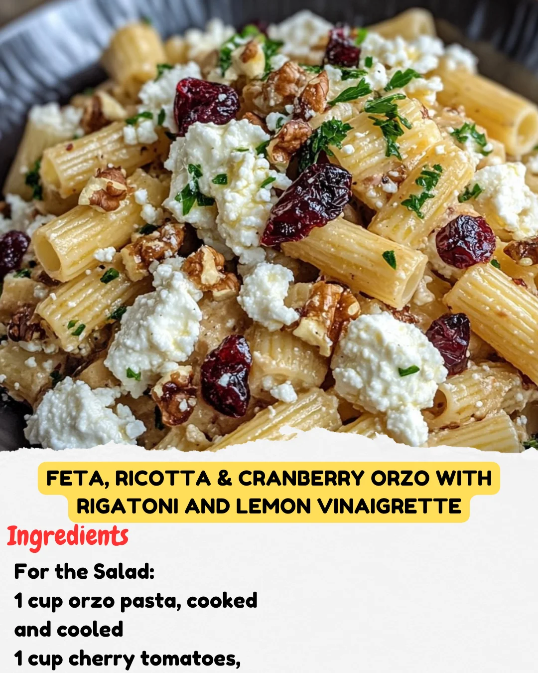 Feta, Ricotta & Cranberry Orzo with Rigatoni and Lemon Vinaigrette