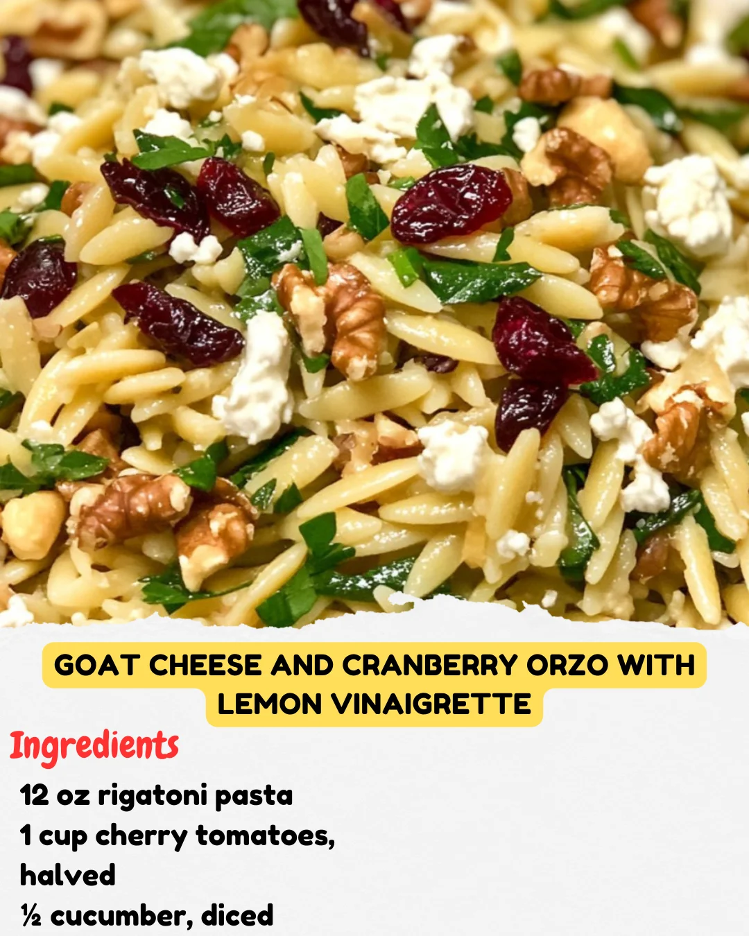 Goat Cheese and Cranberry Orzo with Lemon Vinaigrette
