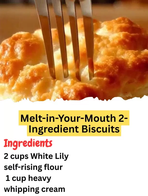 Melt-in-Your-Mouth 2-Ingredient Biscuits