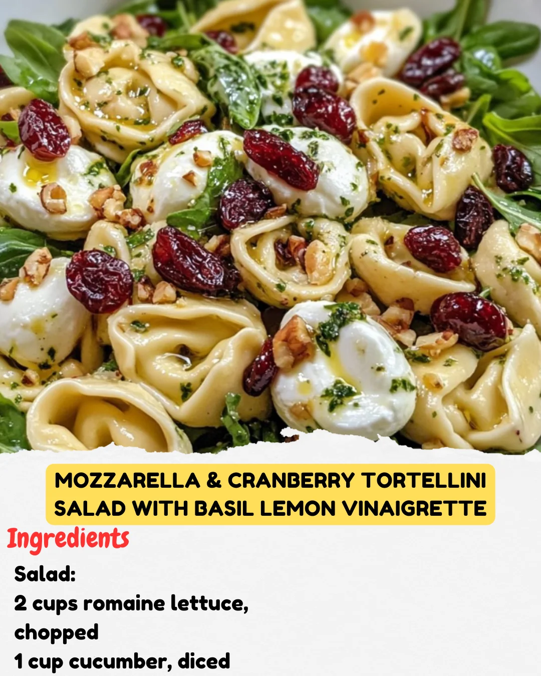 Mozzarella & Cranberry Tortellini Salad with Basil Lemon Vinaigrette