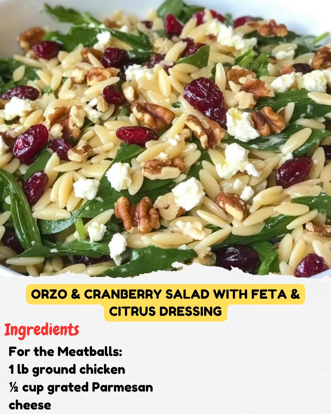 Orzo & Cranberry Salad with Feta & Citrus Dressing