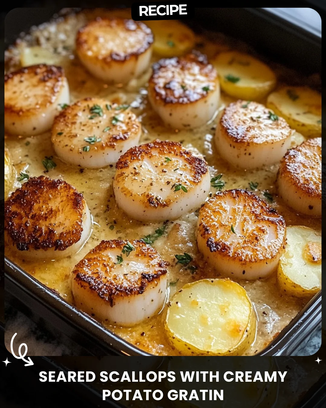 Seared Scallops with Creamy Potato Gratin