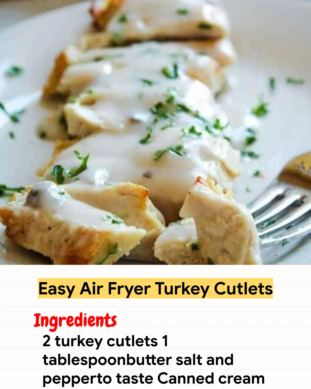 Air Fryer Recipe Easy Air Fryer Turkey Cutlets
