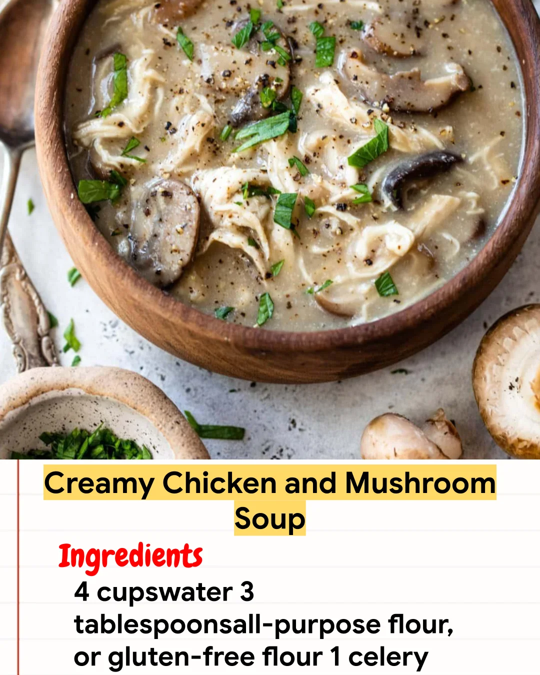 Chicken Recipe Creamy Chicken and Mushroom Soup