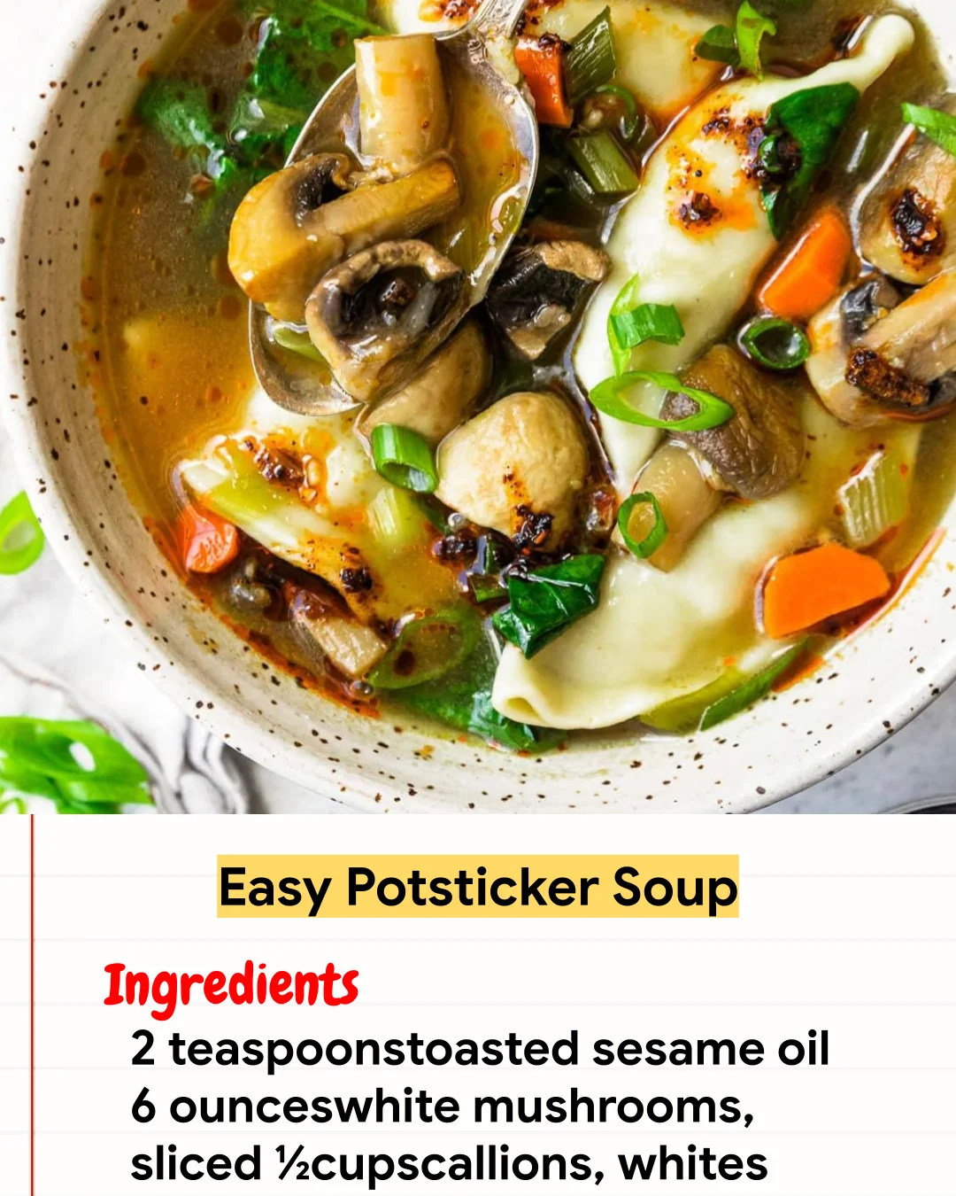 Chicken Recipe Easy Potsticker Soup
