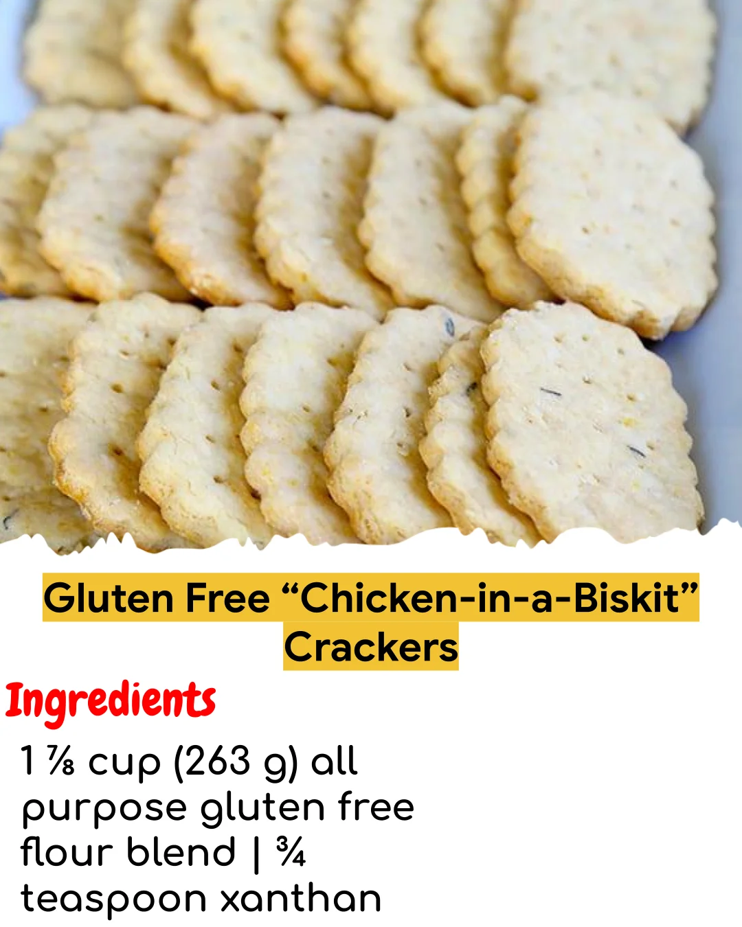 Gluten Free “Chicken-in-a-Biskit” Crackers (Easy 60-Minute)