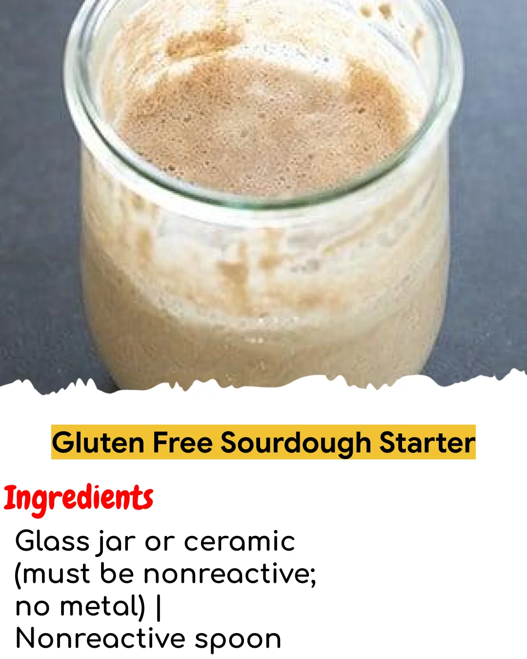 Gluten Free Sourdough Starter (Meal Prep Friendly)
