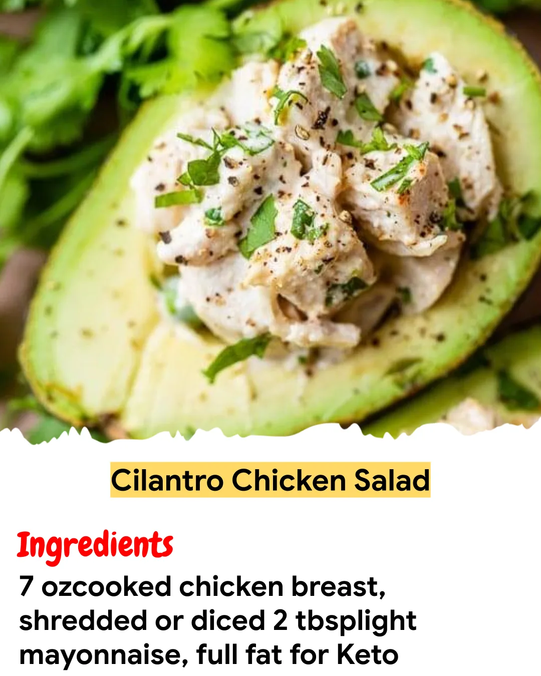 Meal Prep Recipe Cilantro Chicken Salad