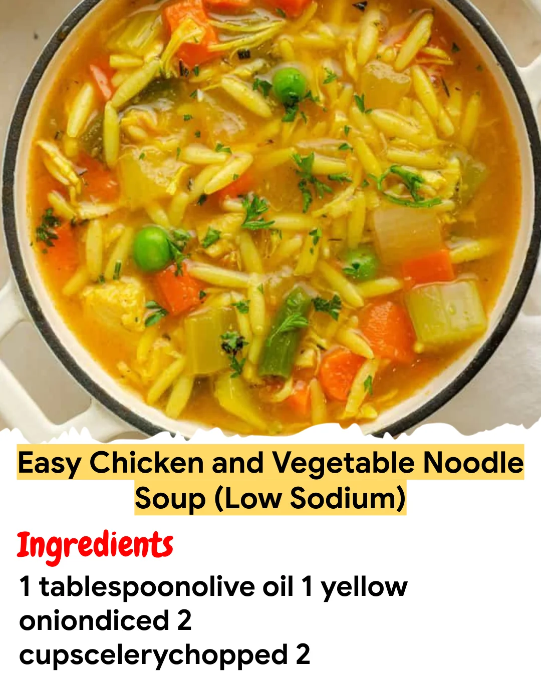 Meal Prep Recipe Easy Chicken and Vegetable Noodle Soup (Low Sodium)
