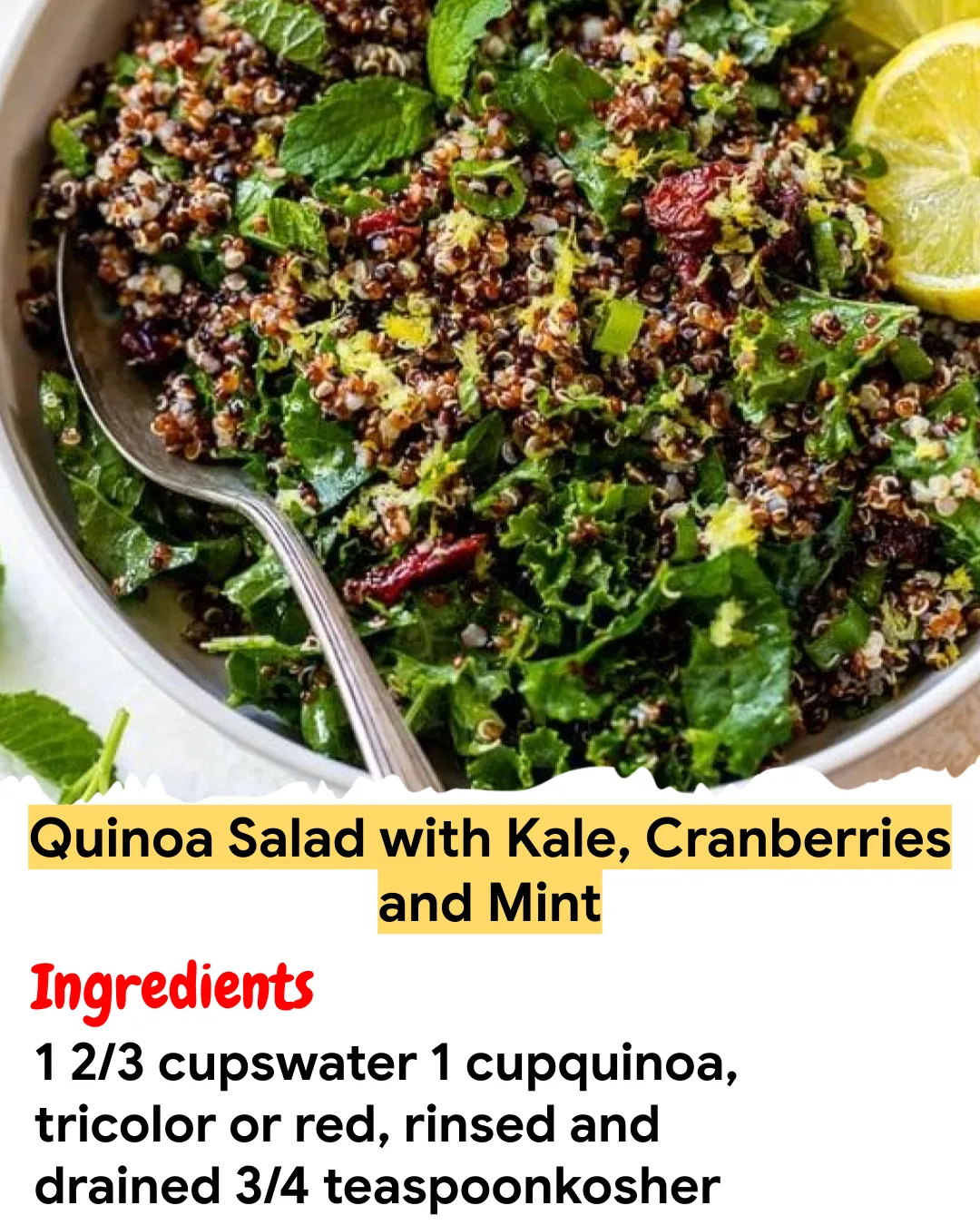 Meal Prep Recipe Quinoa Salad with Kale, Cranberries and Mint