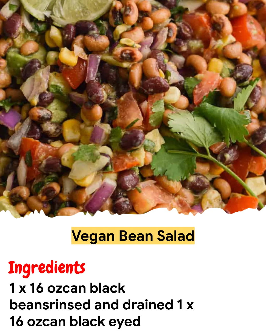 Meal Prep Recipe Vegan Bean Salad