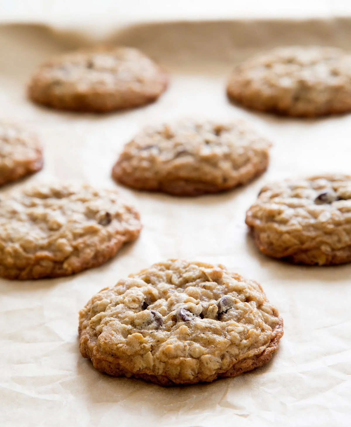 7 cookies just baked on a tray lined with brown paper with oats and chocolate chips.
