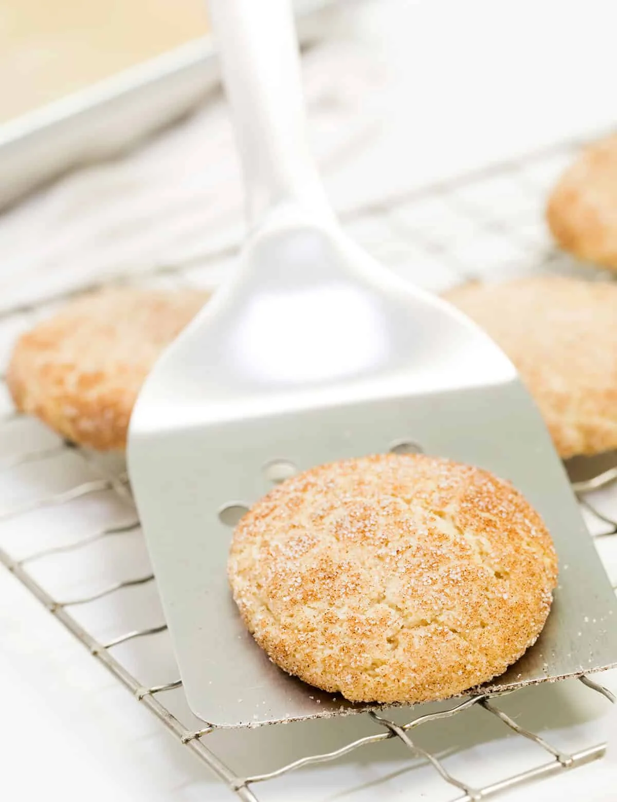 A metal spatula with a snickerdoodle cookie on it.