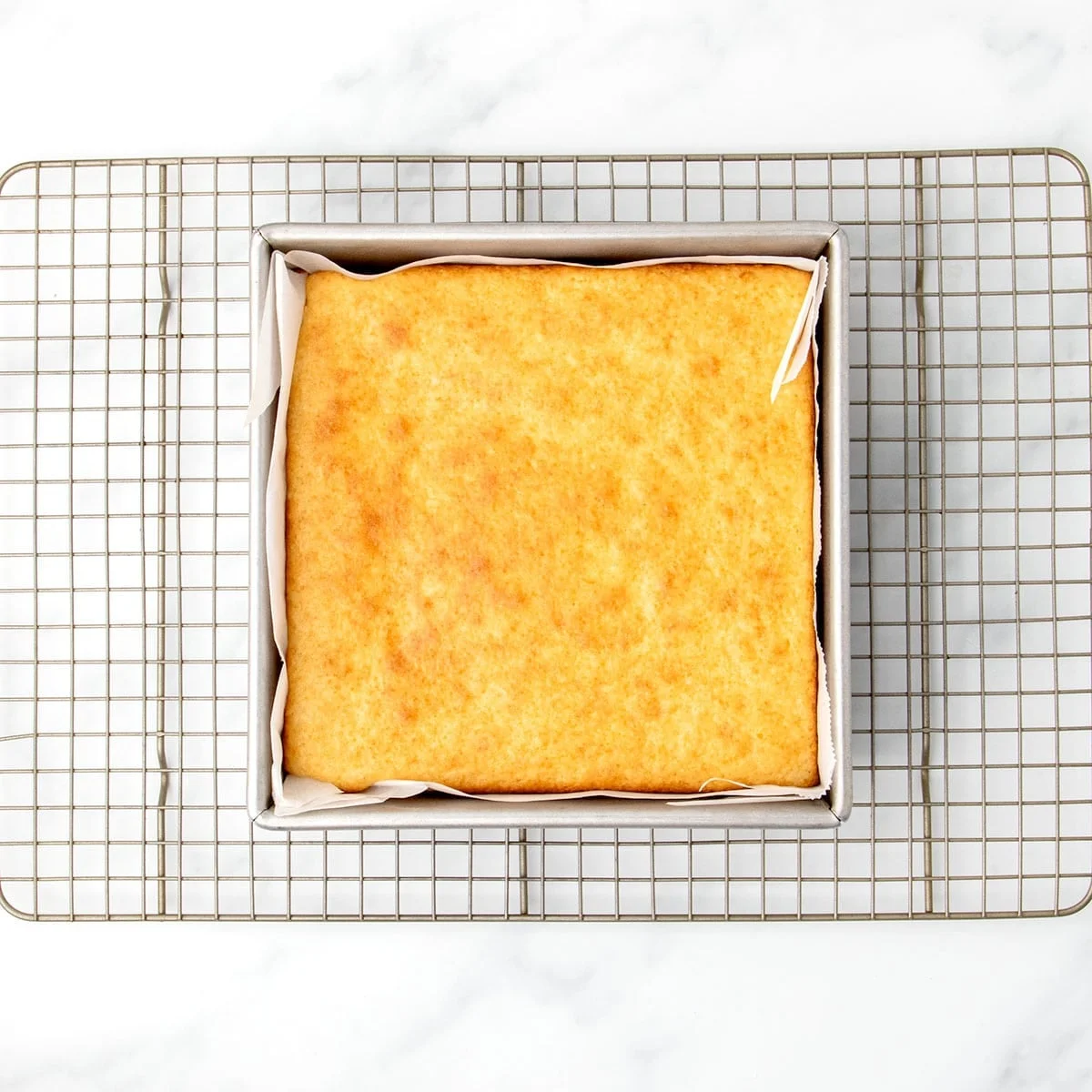 Baked gluten free dairy free vanilla cake cooling in the pan on a wire rack, golden brown and evenly risen.