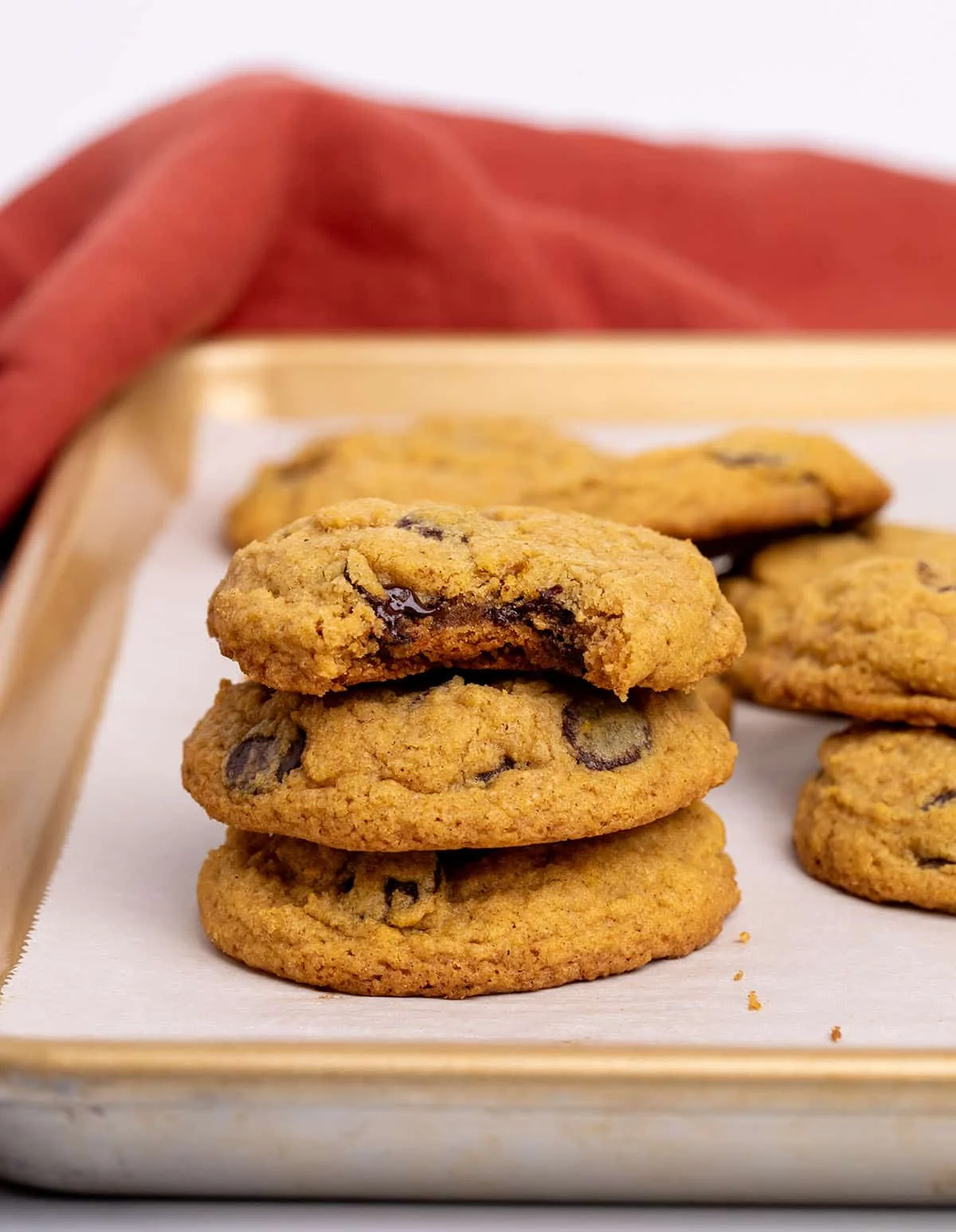 Gluten Free Pumpkin Chocolate Chip Cookies