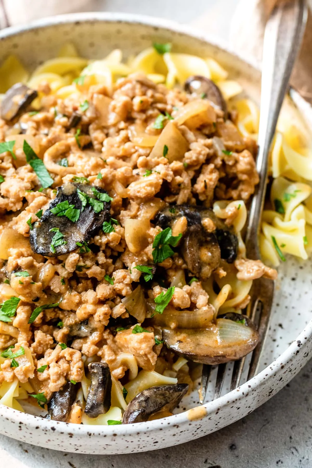 Chicken Stroganoff