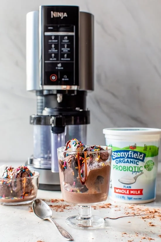 Chocolate Frozen Yogurt in the Ninja Creami