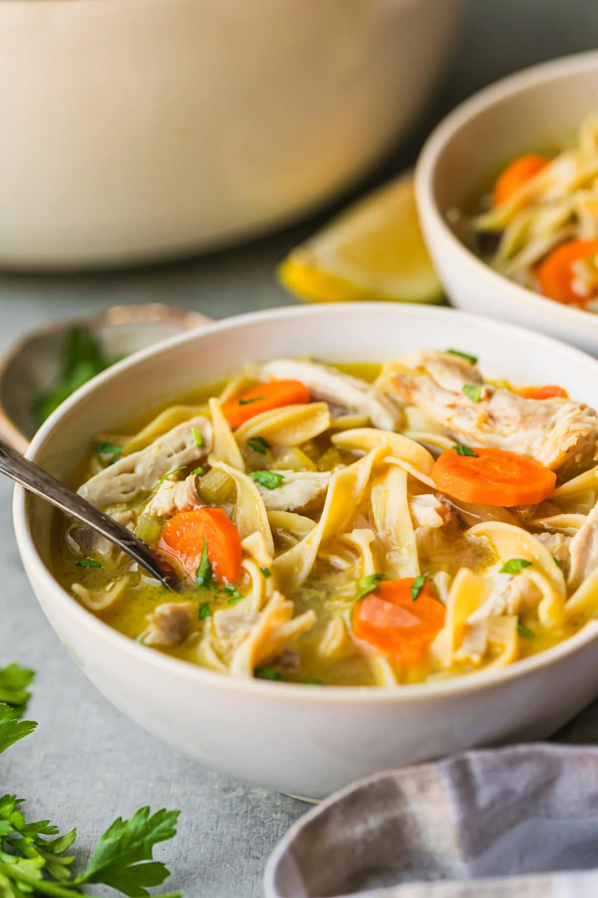 Close up of a bowl of chicken noodle soup.