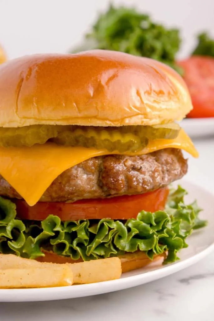 Close up of a burger on a bun with toppings on a white plate