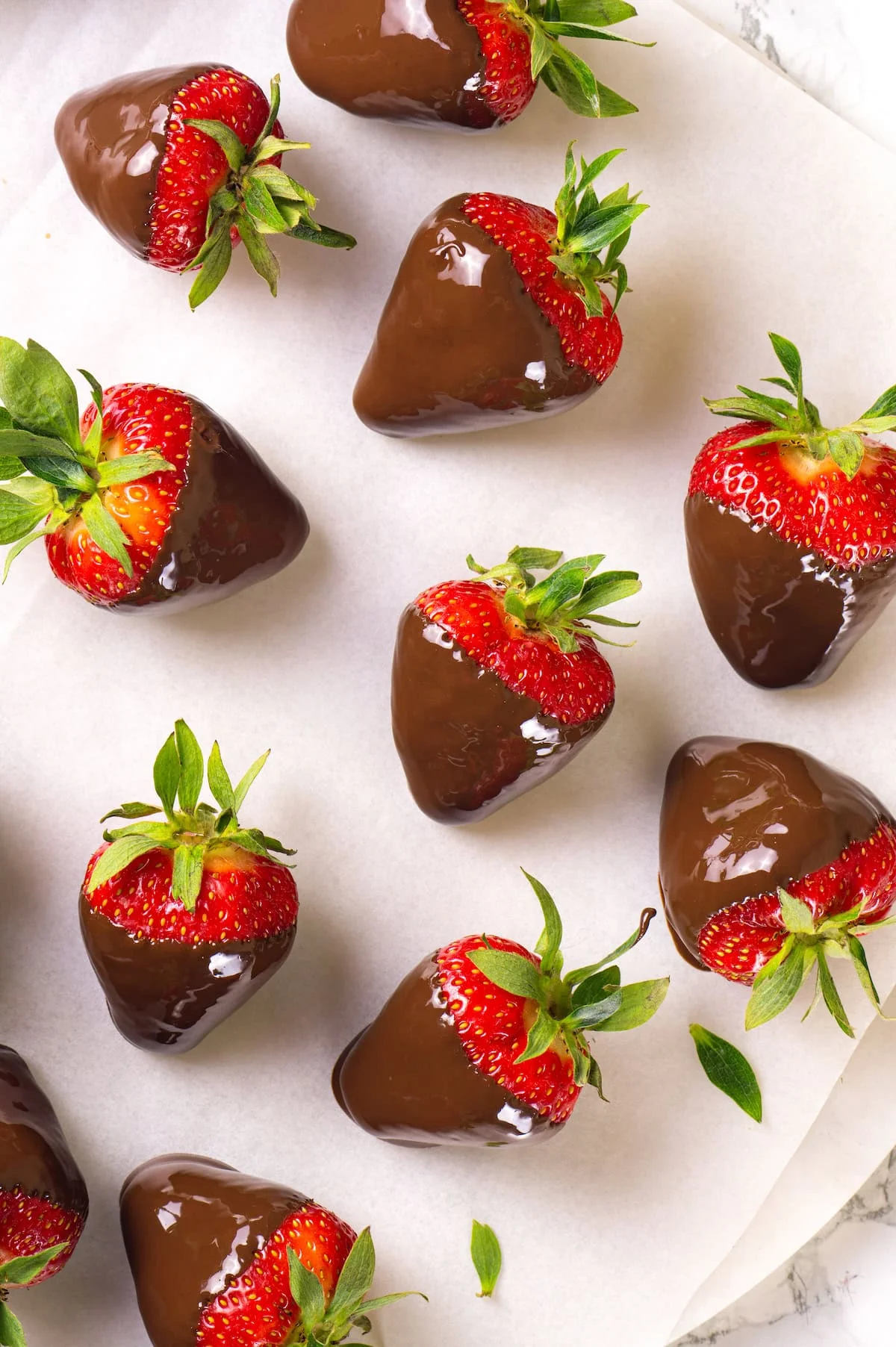 Freshly dipped chocolate strawberries on wax paper