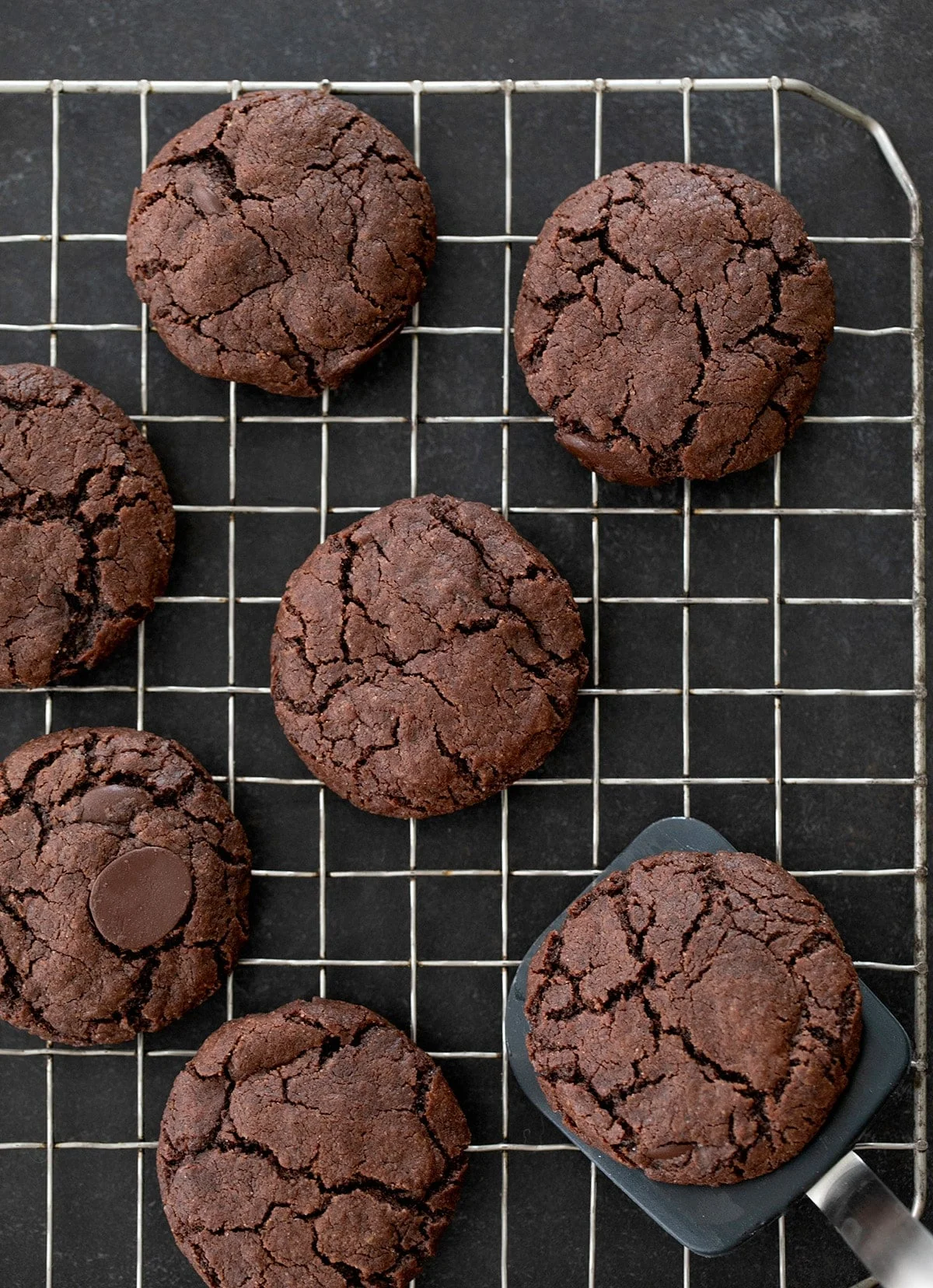 Gluten Free Chocolate Chocolate Chip Cookies