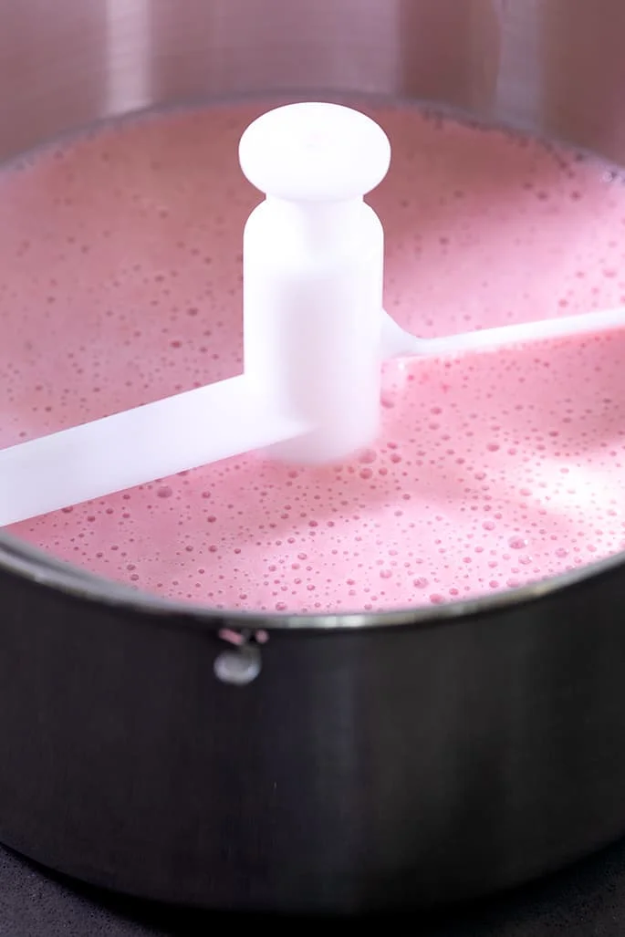 If you've ever wondered how to make frozen yogurt at home (can you just freeze Greek yogurt in an ice cream machine?) this recipe is for you!