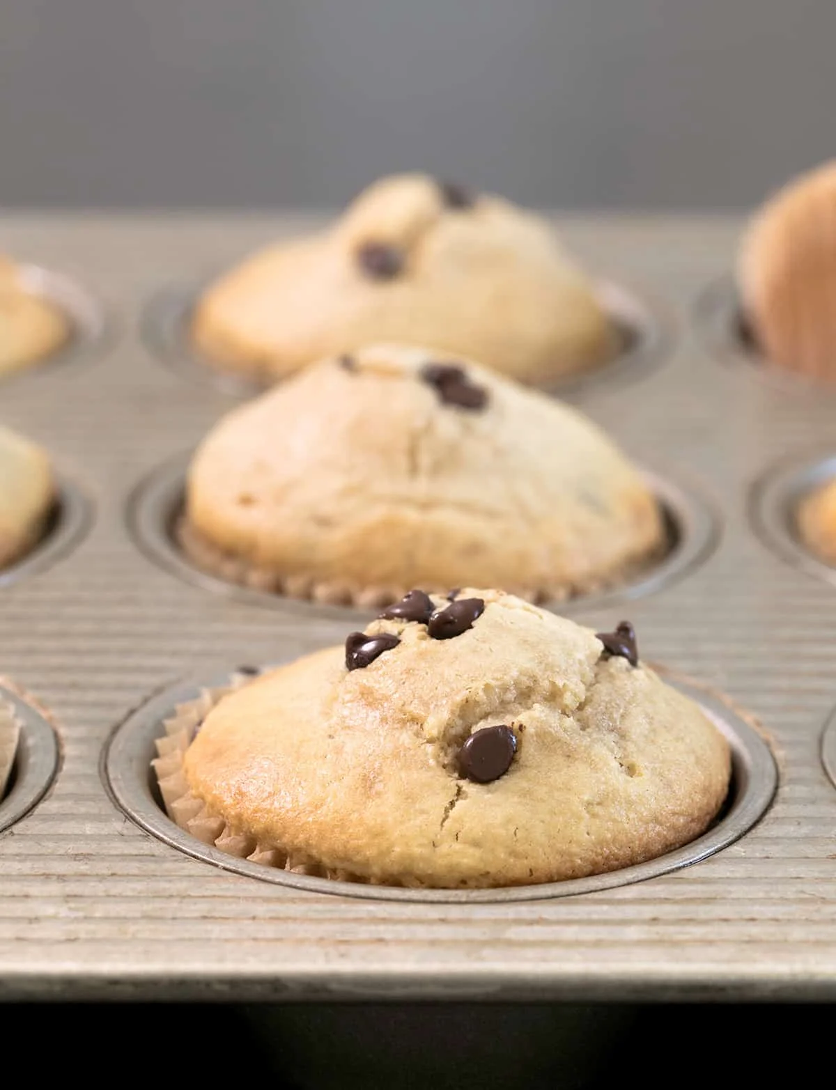 light golden brown muffins with mini chocolate chips in gray muffin pan