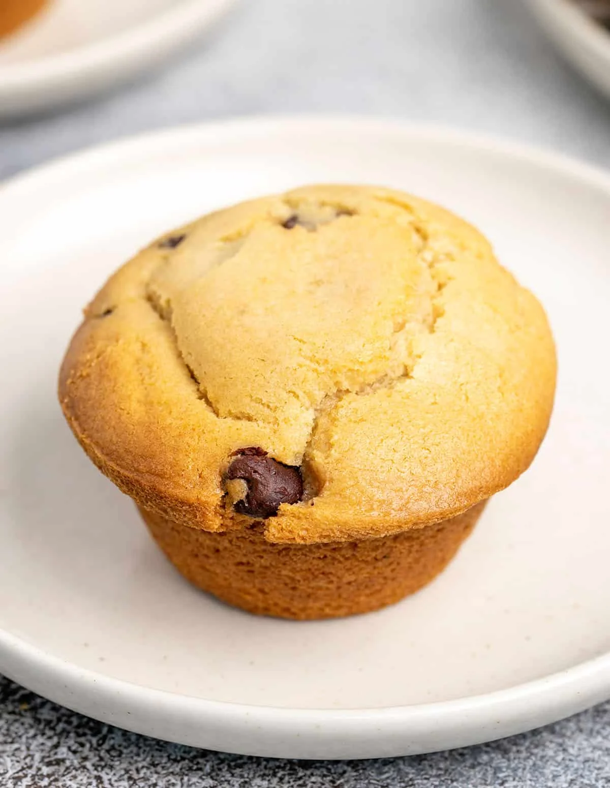One chocolate chip muffin on small white plate