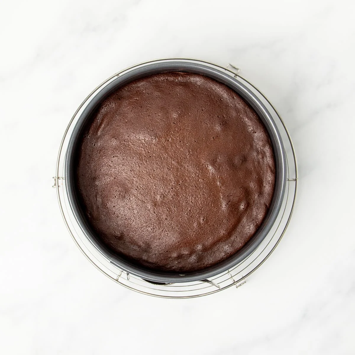 Overhead image of baked brown cake in same gray springform pan round metal wire cooling rack.