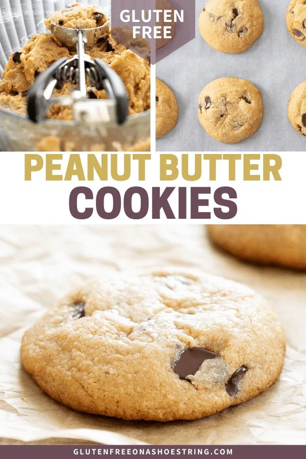 Peanut Butter Chocolate Chip Cookies raw in a bowl and baked on a tray