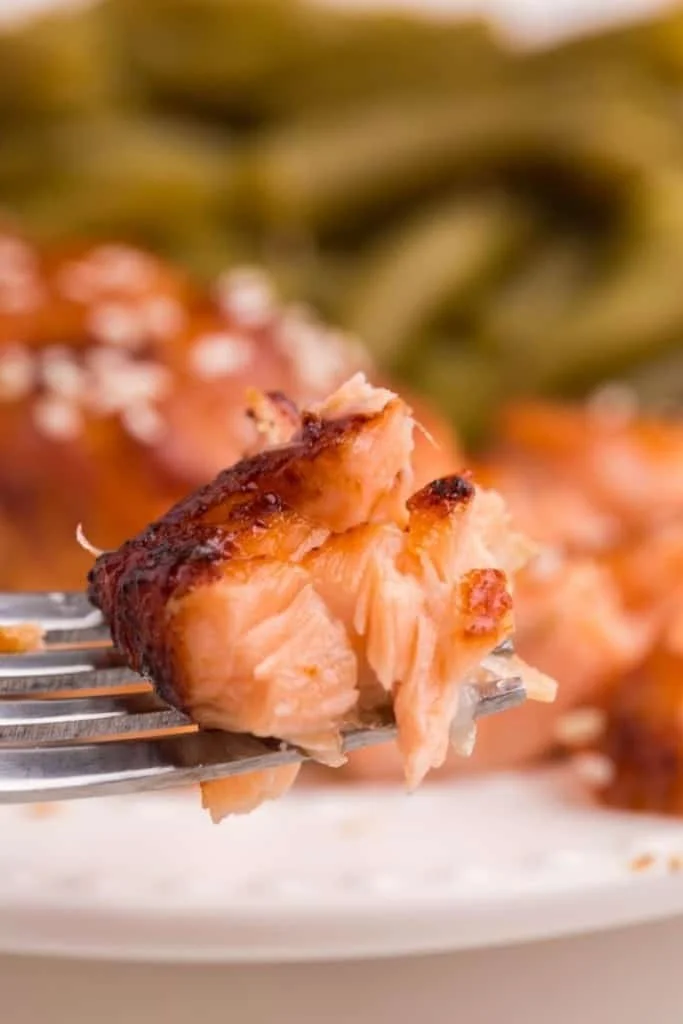 Teriyaki Salmon in the Air Fryer