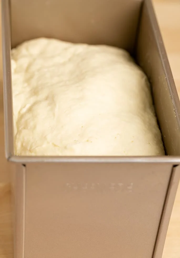 Raw potato bread dough risen in loaf pan.