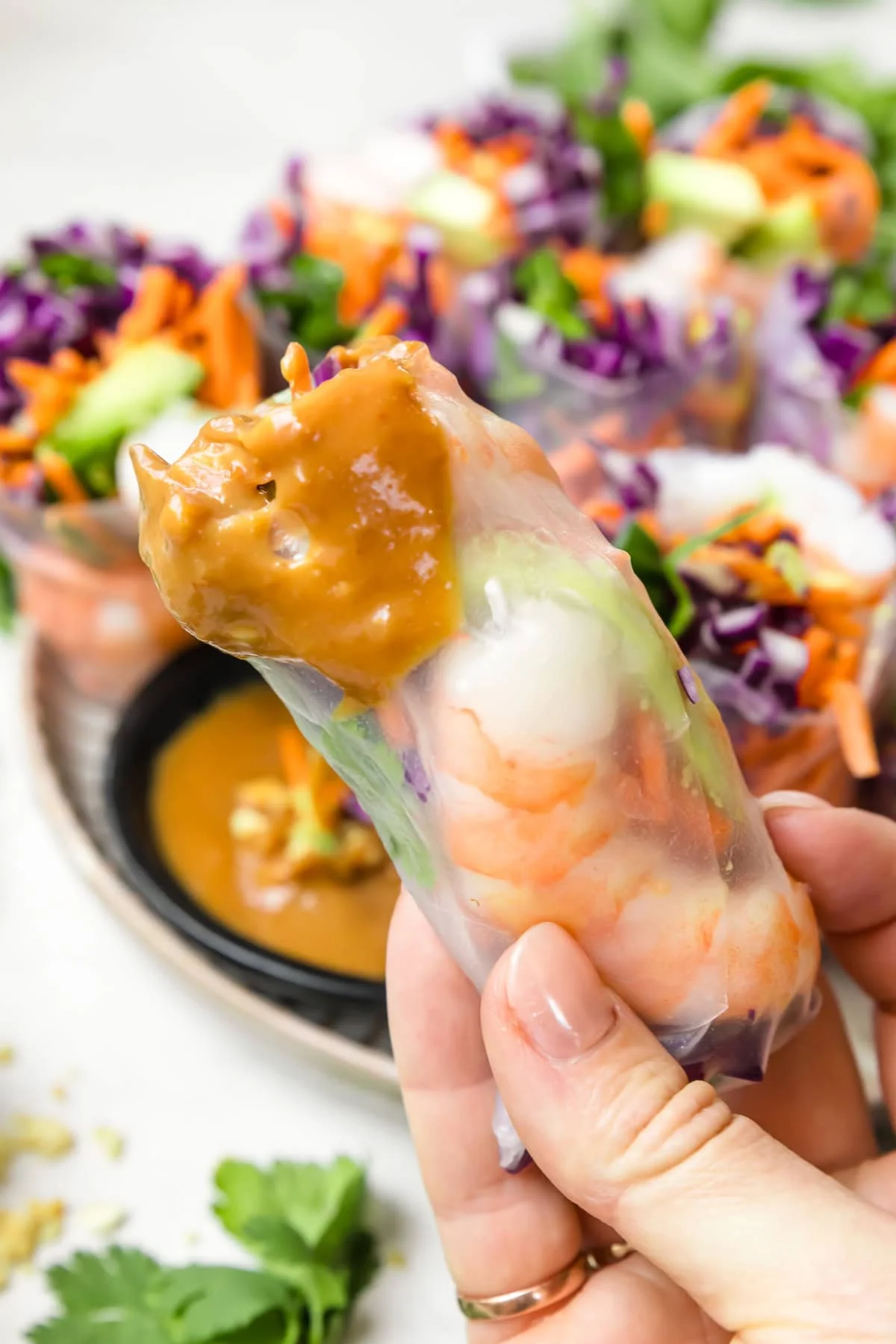 Shrimp Summer Rolls 