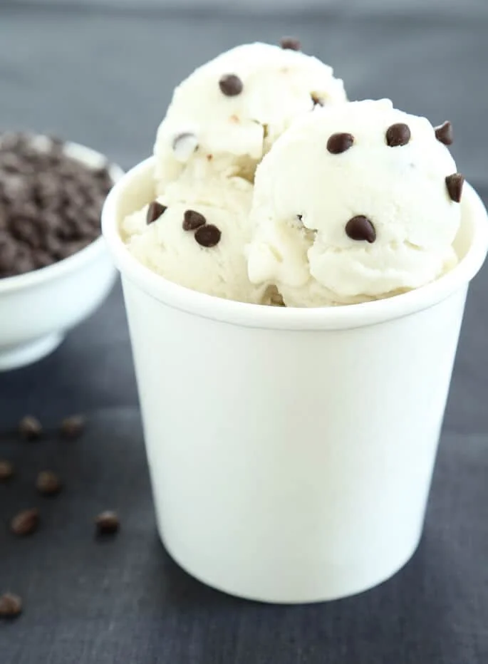 No Churn Dairy Free Ice Cream