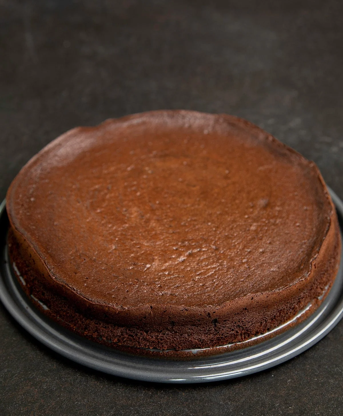 The chocolate cake on springform pan bottom.