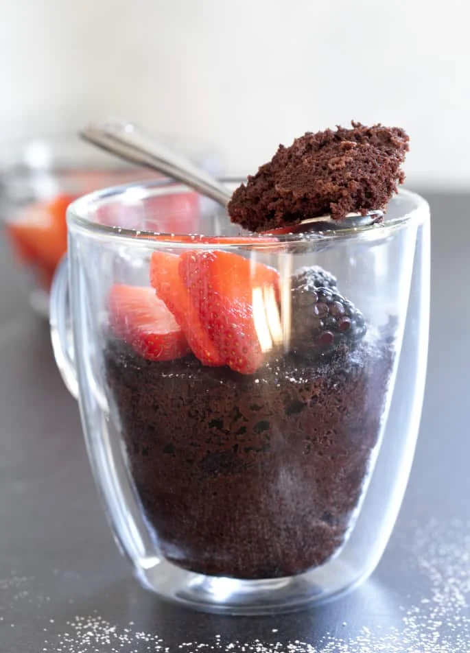 Chocolate Paleo Mug Cake