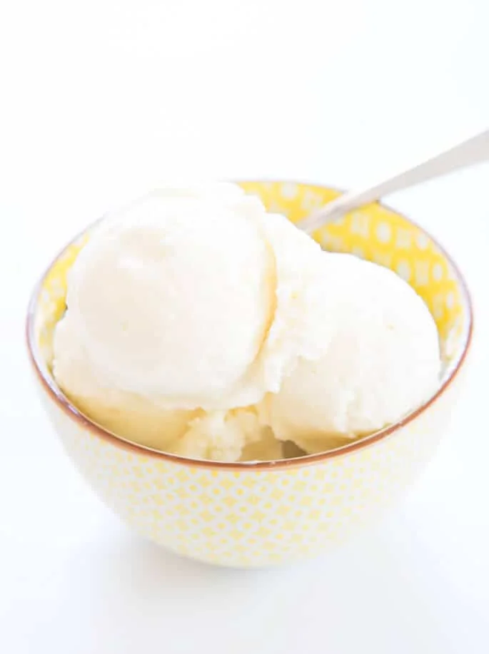 Homemade Frozen Yogurt (2 Ingredients)