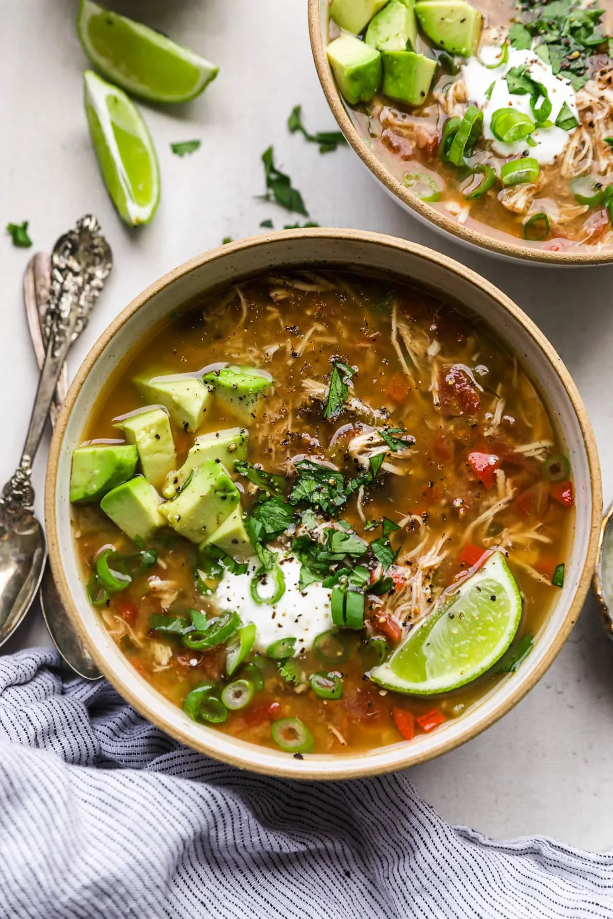 Chicken and Black Bean Soup (Slow Cooker)